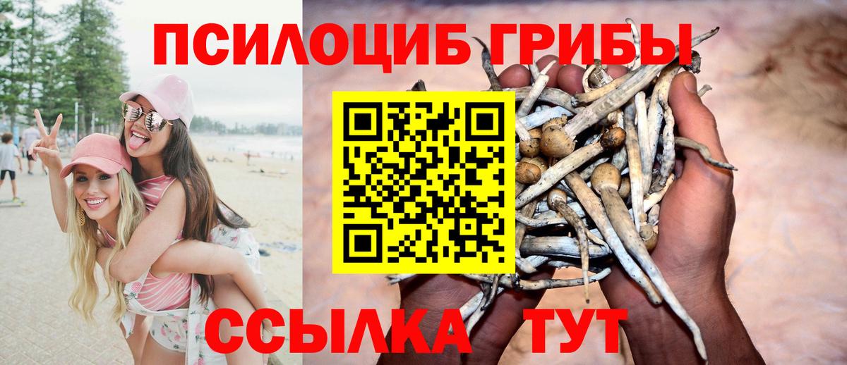 Псилоцибиновые грибы Psilocybine cubensis  где продают наркотики  Уссурийск  Вход с VPN  Псилоцибиновые грибы прущие грибы 