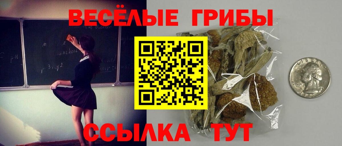 Псилоцибиновые грибы прущие грибы Уссурийск